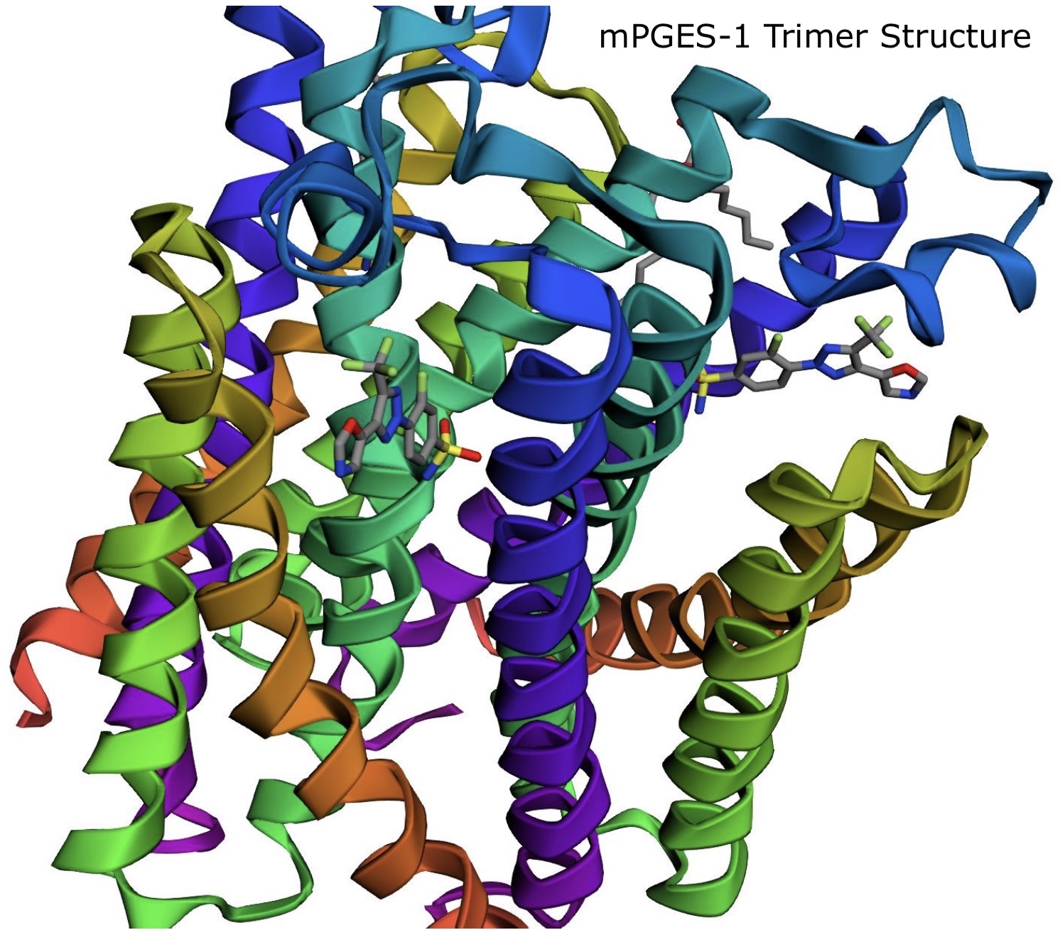 Molecular interactions of dual COX-2 and mPGES-1 inhibitor