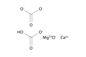 Bicarbonate carbonate chloride calcium magnesium