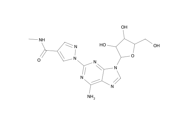 regadenoson | CAS 313348-27-5 | LZPZPHGJDAGEJZ | OCSR.ai